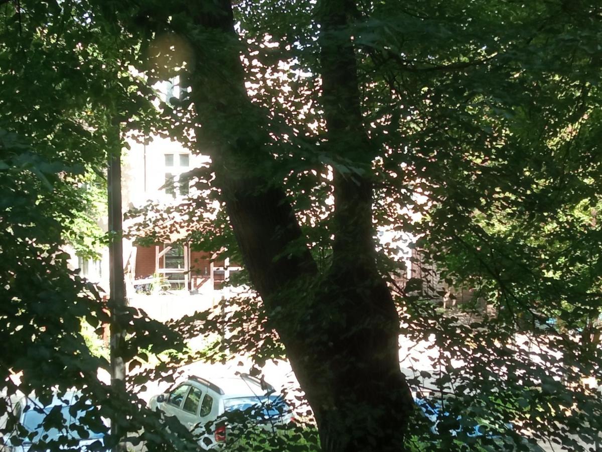 Cooliving: Cozy Room near Gdansk Medical Academy Exterior photo